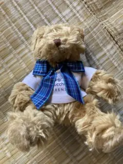 Item thumbnail for item 7042287c-57ba-4cc2-bef3-6d4fd9f0232d