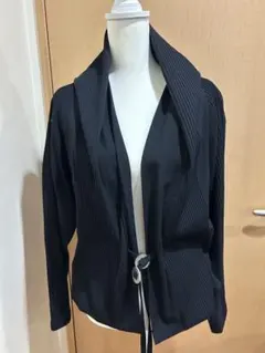⭐️筆タグイッセイミヤ黒タック入りジャケット極美品⭐️のサムネイル