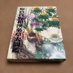 未使用 希少】原色牧野植物大図鑑 2冊 牧野富太郎 植物図鑑¥65,000 