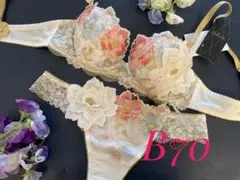 サルート03グループ 婚礼衣装 日本の花嫁 D70 ソング TバックM - メルカリ