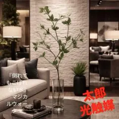 光触媒 人工観葉植物 ウォールグリーン フェイクグリーン パキラ12345