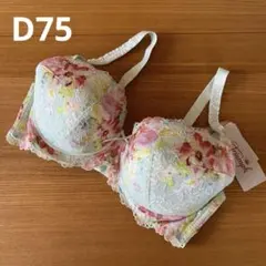 トリンプ　ブラジャー　D75