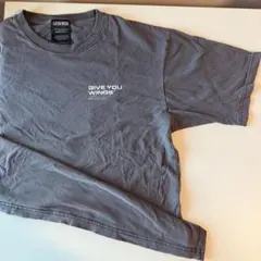 LEGENDA レジェンダ GIVE YOU WINGS Tシャツ FREE