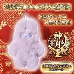 【特級呪物】紫雲護り童（しうんまもりどう）│座敷わらし│チョウピラコ 特級呪物】紫雲護り童（しうんまもりどう）│座敷わらし│チョウピラコ