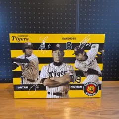 [非売品]阪神タイガース 記念バスタオルのサムネイル