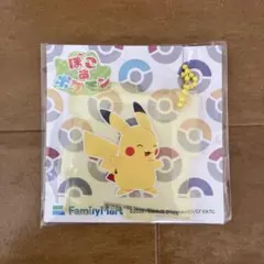 ポケモン ピカチュウ アクリルキーホルダー
