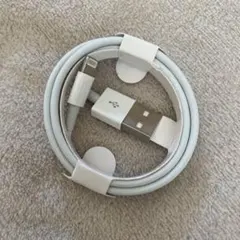 Apple純正 Lightning USBケーブル