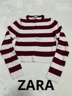 ZARA ボーダートップス