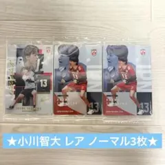 日本代表男子バレー ツインウエハース 小川智大 カード