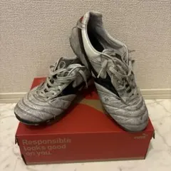 2025年最新】モレリア2 26.5の人気アイテム - メルカリ