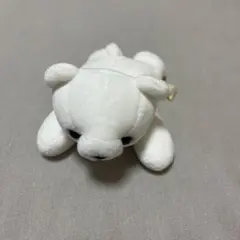 シロクマ ぬいぐるみ ホワイト テイクオフ　手乗りサイズ　寝そべり　ミニ