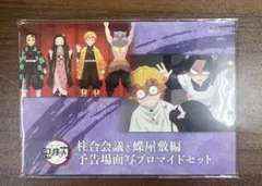 鬼滅の刃　竈門炭治郎 立志編　柱合会議・蝶屋敷編 予告場面写ブロマイドセット