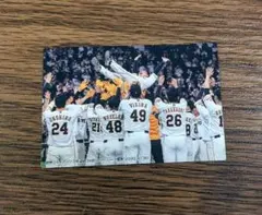 プロ野球チップスカード2021