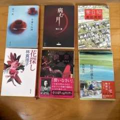 Item thumbnail for item 820aa9b3-dcc0-4ba8-b61e-c6a232af2a2f