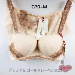 トリンプ プレミアム まゴールドレーベル3023 セットC70-M