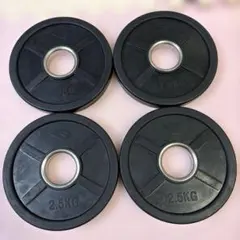 BODYMAKER 2.5kg プレート 4枚セット 50mm