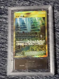 ［ARS10］トキワの森 UR SM10b スカイレジェンド 068/054