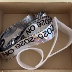 Snow Man Dome Tour 2025-2026 ON 落下物