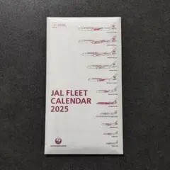 JAL FLEET CALENDAR 2025 卓上カレンダーのサムネイル