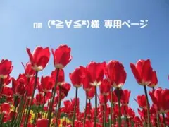 nm (*≧∀≦*)様 ♡ 専用ページ