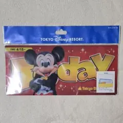 ディズニー　ミッキー&ミニー　Today チケットホルダー