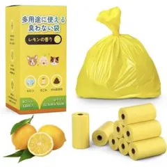 Item thumbnail for item 9b2b906f-1eb6-49af-965c-742b41cd3855