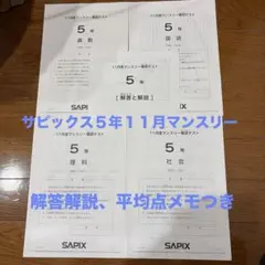 2026年最新】サピックス 5年 マンスリー確認テストの人気アイテム