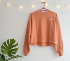 THE NORTH FACE スウェットカットソー