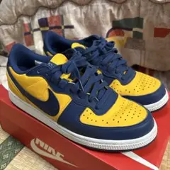 Nike ダンク ターミネーター　イエロー／ネイビー
