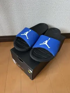 ジョーダン　サンダル　青　25cmのサムネイル
