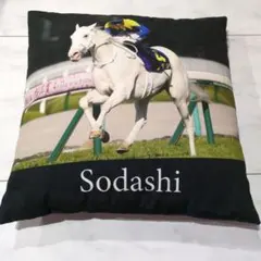 ✨新品タグ付✨ソダシ Sodashi『第81回桜花賞』ソダシ号No4 ぬいぐるみ ソダシ 桜花賞 ぬいぐるみ BIG Amazon.co.jp: サラブレッド