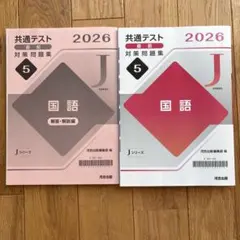 共通テスト対策問題集