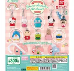 【本日限定価格】サンリオキャラクターズ オールスターズ めじるしアクセサリー