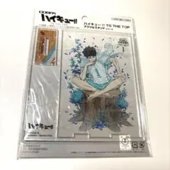 ハイキュー!! TO THE TOP アクリルアートスタンド 及川徹