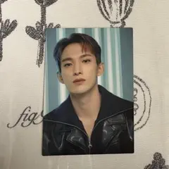 SEVENTEEN セブチ DK ドギョム FOLLOW トレカ