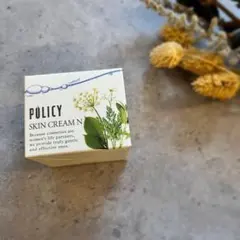 POLICY SKIN CREAM N 35gのサムネイル