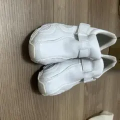 Item thumbnail for item c0d9bd6d-275d-4797-b4e4-a36e2f054e9b