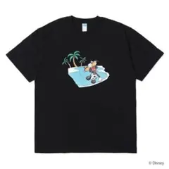 Item thumbnail for item 658c70fe-e5a5-48ec-90f7-d757c075096d