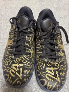 NIKE KOBE XI EM PROTRO