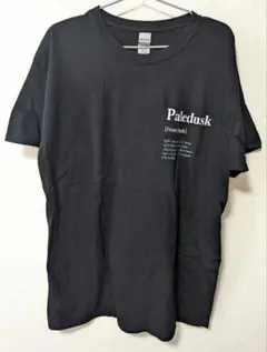 10月限定出品！Paledusk Tシャツ Galaxy tour