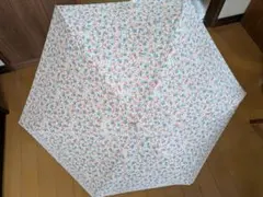 Item thumbnail for item c76d5029-2ecc-4054-896c-e5fcd127ccbb