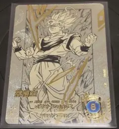 ダイバーズ APT-002 孫悟空　パラレル 40周年 アドバンスパック