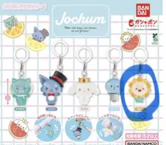 JOCHUM ガチャガチャ めじるしアクセサリー Bira