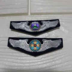 Item thumbnail for item 42ea9c2b-074b-45c4-aa89-0941a38c83cc