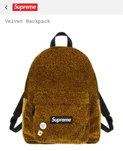 Supreme レオパード ヒョウ柄 フリース リュック バックパック 野村訓一 野村訓市着 Supreme Leopard back pack 美品 レオパード - メルカリ