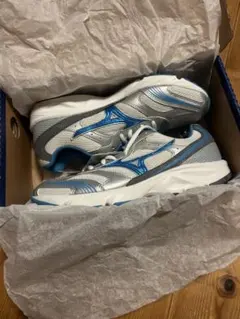 ミズノ ランニングシューズ 25.0cm