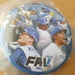 北海道日本ハムファイターズ FAV 缶バッジ 2026