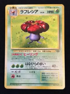渦巻きホロ 十字ホロ ラフレシア ポケモンジャングル ポケモンカード