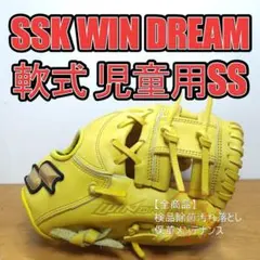 SSK DIMPLE SENSOR DSM-690 キャッチャーミット ソフト - メルカリ