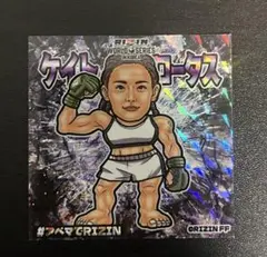 2025年最新】ケイト・ロータスの人気アイテム - メルカリ